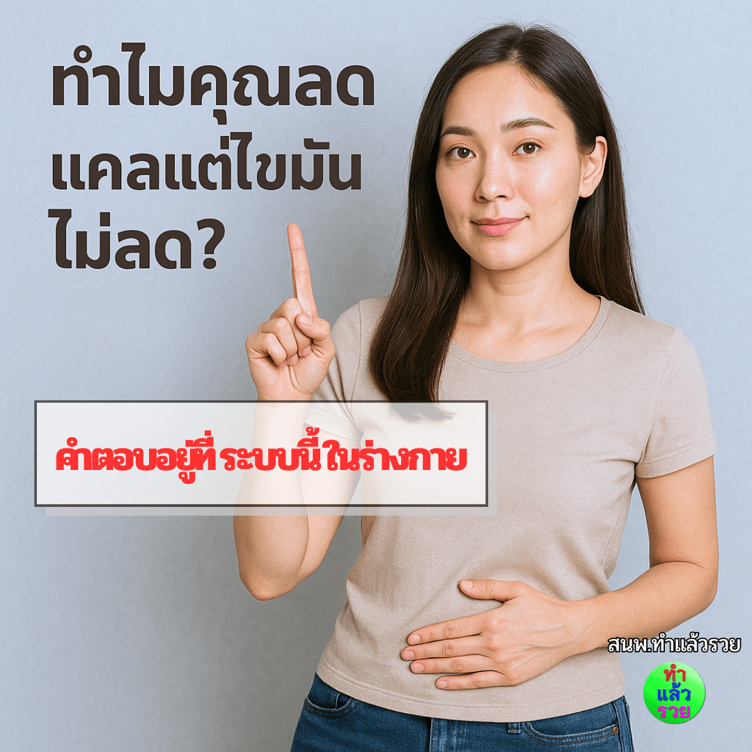 ทำไมคุณลดแคลแต่ไขมันไม่ลด? คำตอบอยู่ที่ระบบนี้ในร่างกาย